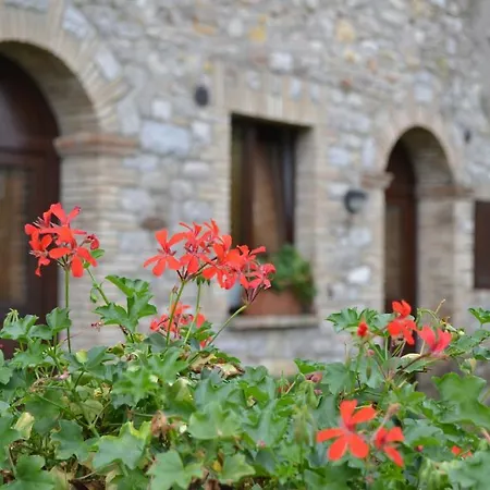 Agriturismo Barberani Civitella Del Lago